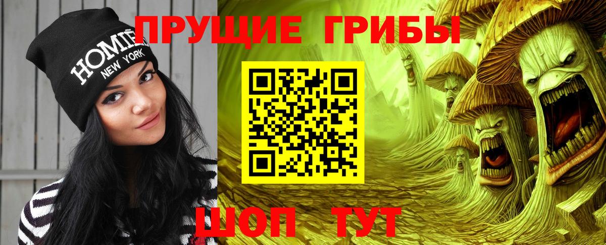 Галлюциногенные грибы Psilocybe  Галлюциногенные грибы Psilocybe  Вход с VPN  Куйбышев 
